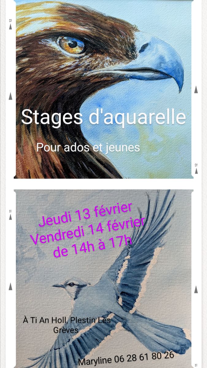 Affiche stage